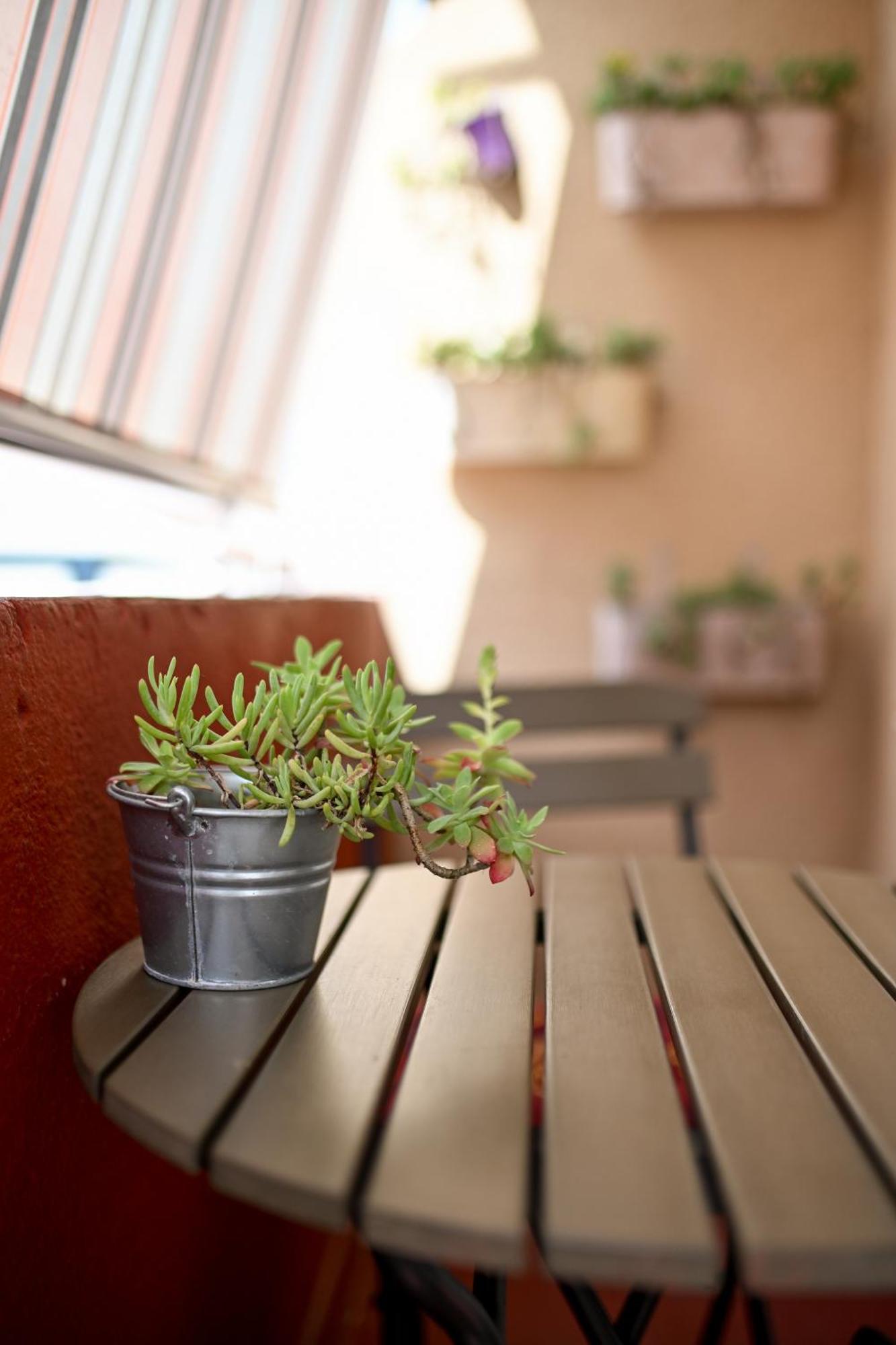 Near Zadar City Center Apartment With Free Parking And Air Condition In Each Room Eksteriør billede